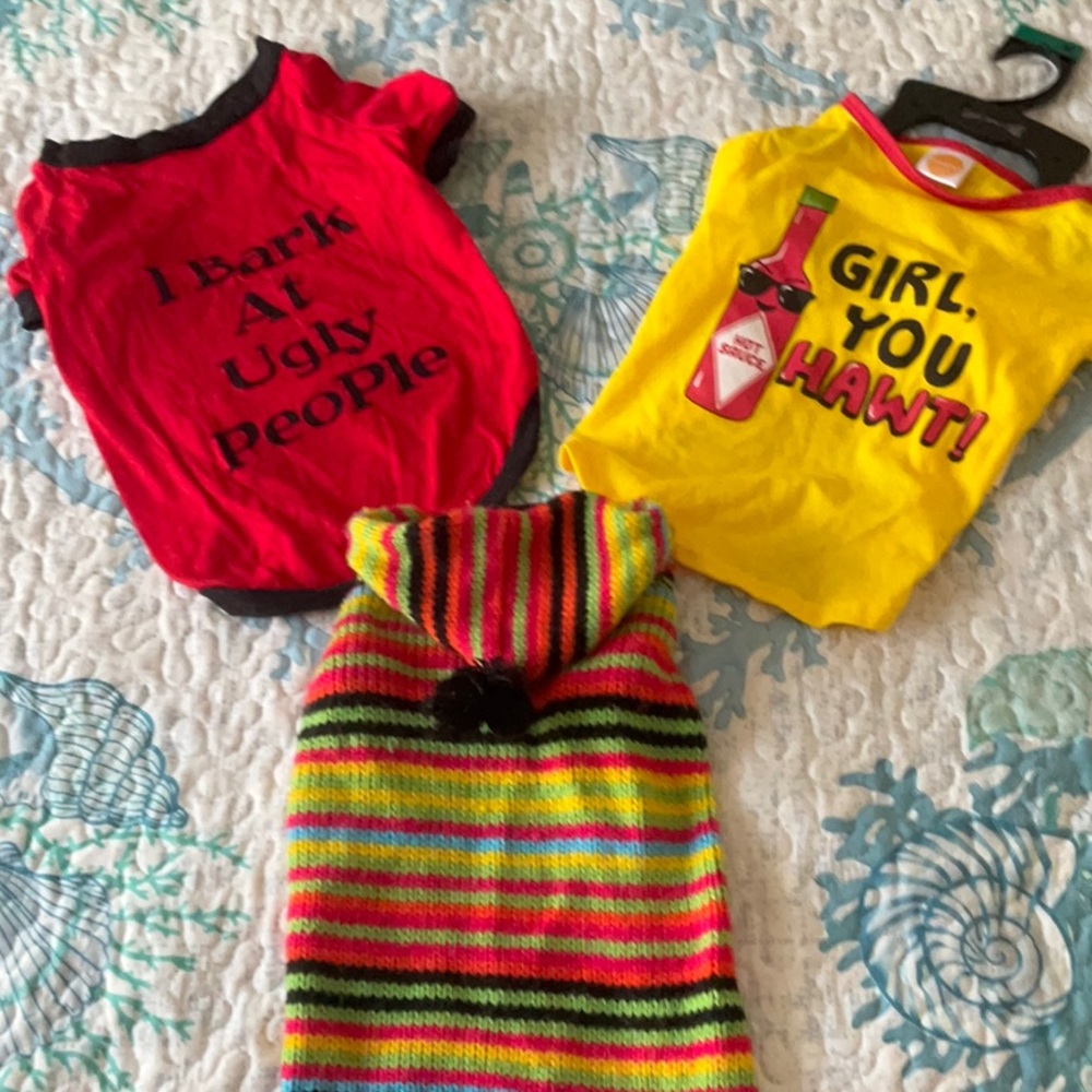 Vibrant Striped Dog Sweater